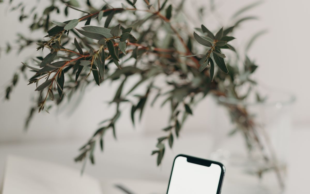 exchanges: organizations update working plans #17